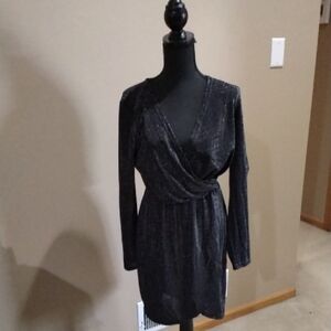 Elegant Silver Long Sleeve Dress